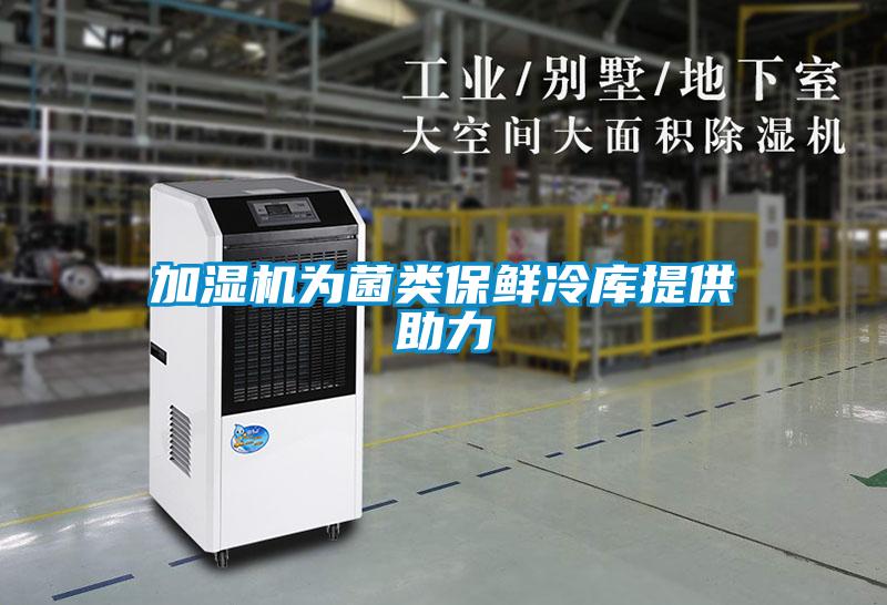 加湿机为菌类保鲜冷库提供助力