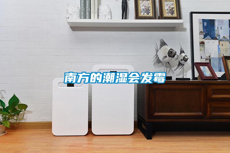 南方的潮湿会发霉