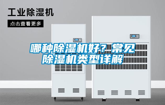哪种除湿机好？常见除湿机类型详解