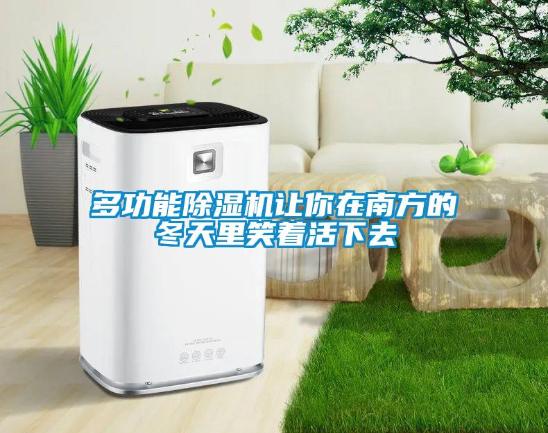 多功能除湿机让你在南方的冬天里笑着活下去