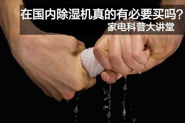 去湿气的食物