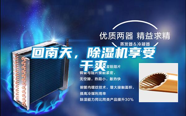 回南天，除湿机享受干爽