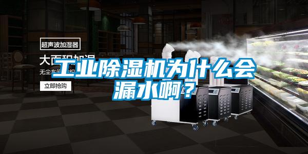 工业除湿机为什么会漏水啊？