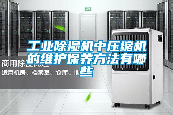 工业除湿机中压缩机的维护保养方法有哪些