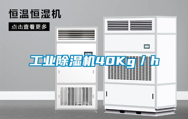 工业除湿机40Kg／h