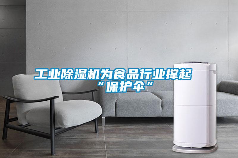 工业除湿机为食品行业撑起“保护伞”