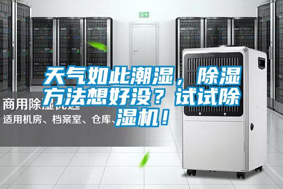 天气如此潮湿,除湿方法想好没?试试除湿机!