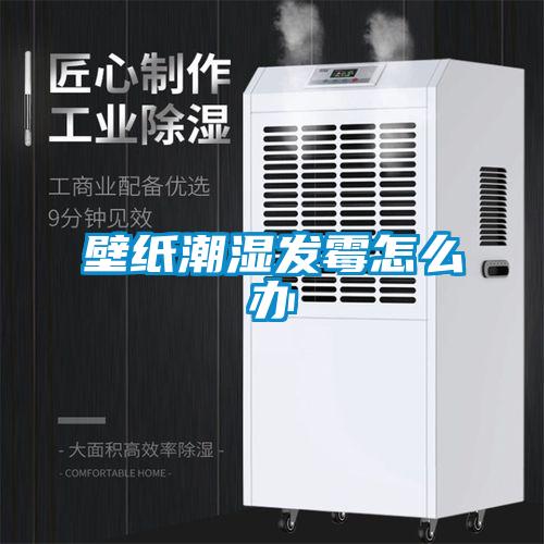 壁纸潮湿发霉怎么办