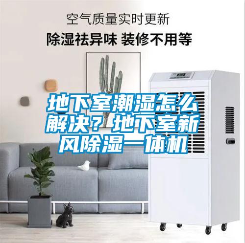 地下室潮湿怎么解决？地下室新风除湿一体机