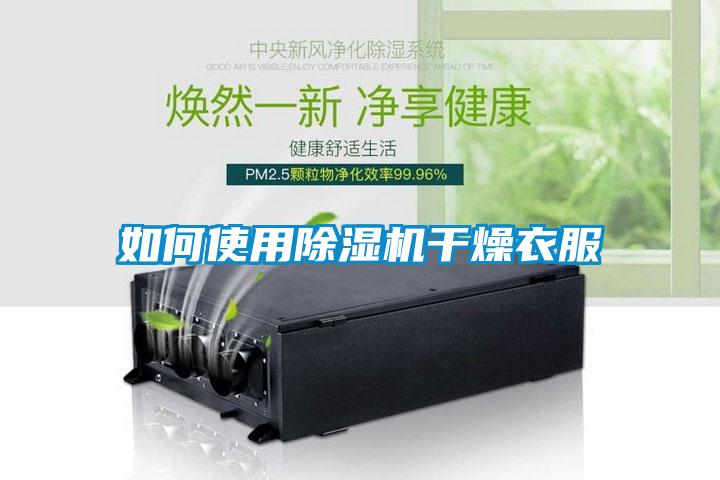 如何使用除湿机干燥衣服