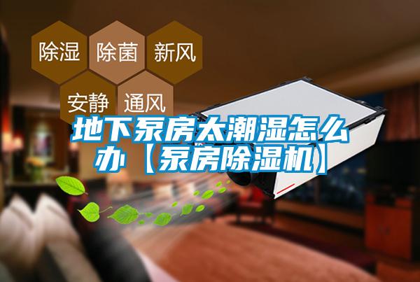 地下泵房太潮湿怎么办【泵房除湿机】