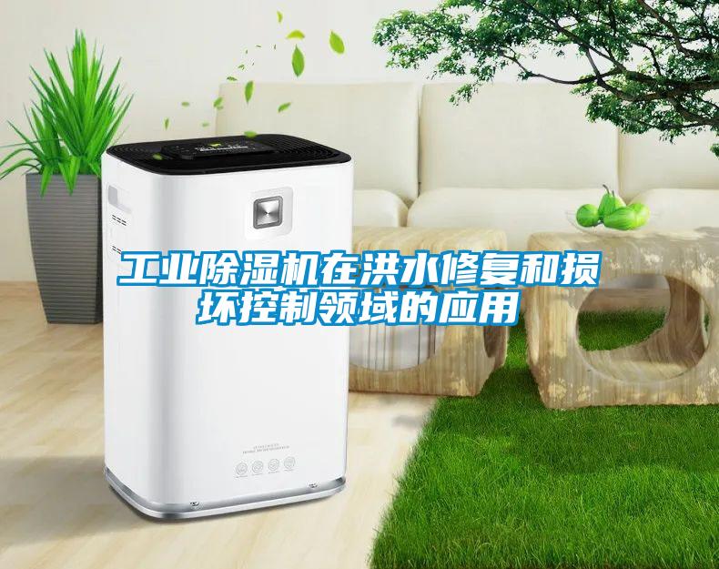 工业除湿机在洪水修复和损坏控制领域的应用
