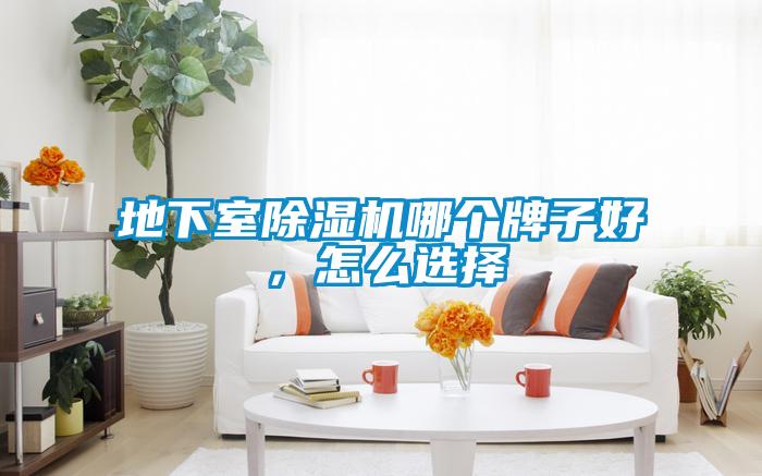 地下室除湿机哪个牌子好，怎么选择