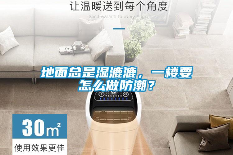 地面总是湿漉漉，一楼要怎么做防潮？