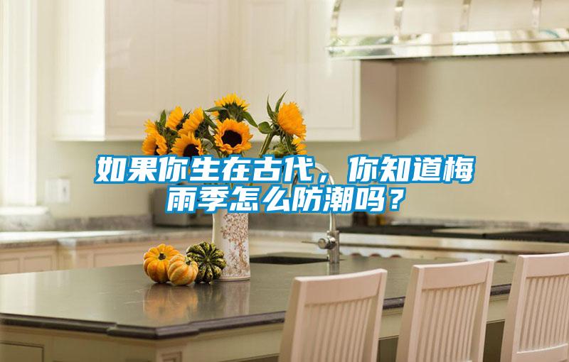 如果你生在古代，你知道梅雨季怎么防潮吗？