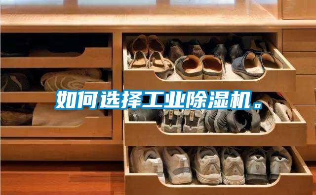如何选择工业除湿机。
