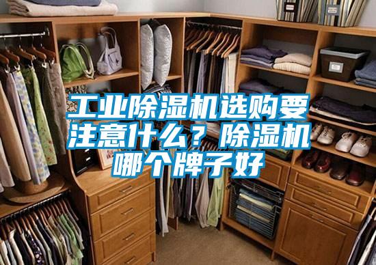 工业除湿机选购要注意什么？除湿机哪个牌子好