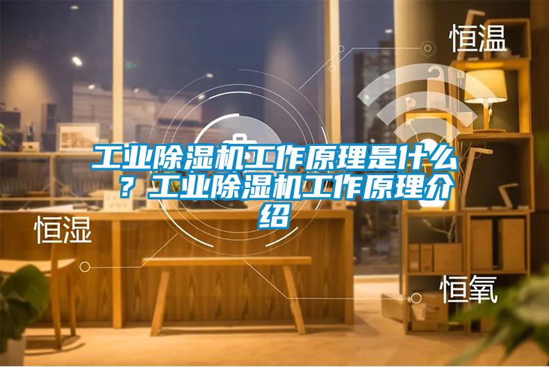 工业除湿机工作原理是什么 ？工业除湿机工作原理介绍