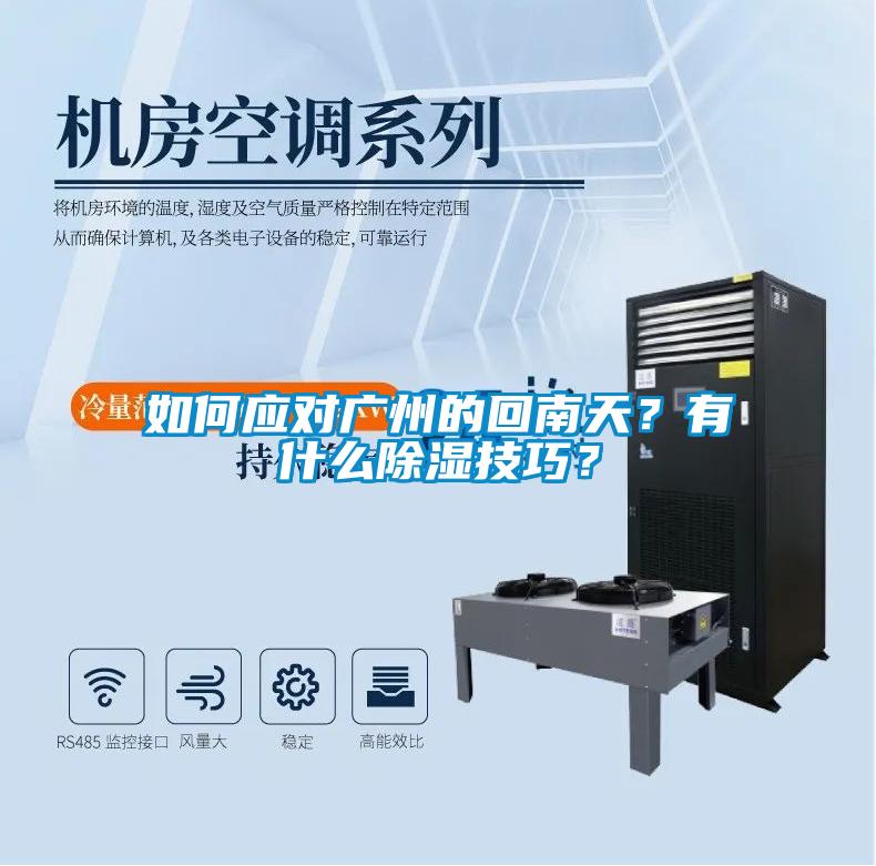 如何应对广州的回南天？有什么除湿技巧？