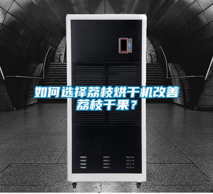 如何选择荔枝烘干机改善荔枝干果？