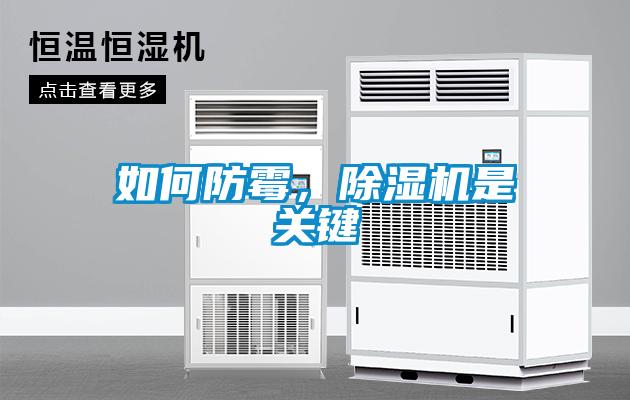 如何防霉，除湿机是关键