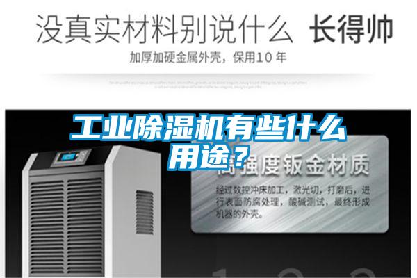 工业除湿机有些什么用途?