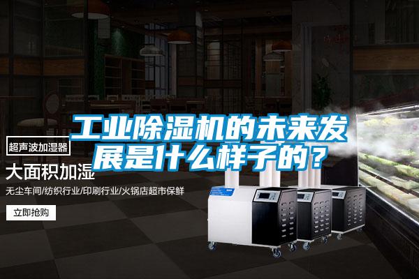 工业除湿机的未来发展是什么样子的？