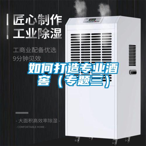 如何打造专业酒窖（专题三）