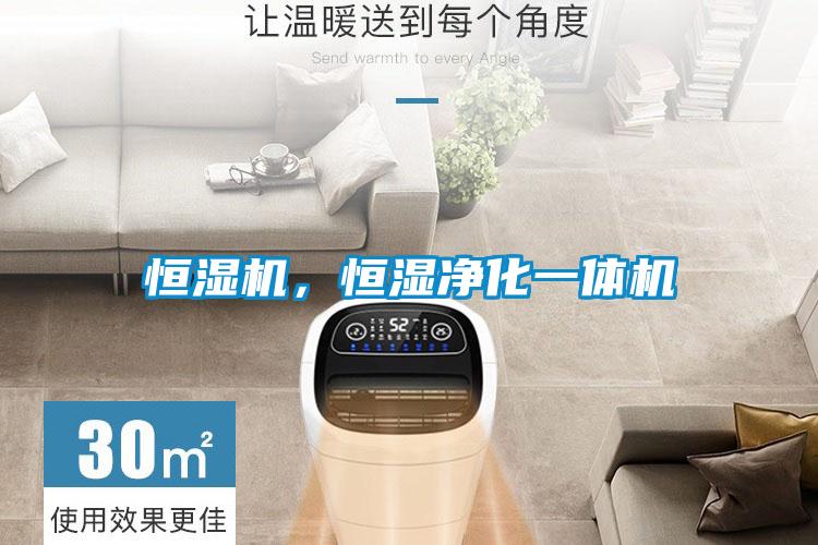 恒湿机，恒湿净化一体机