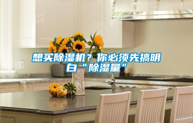 想买除湿机？你必须先搞明白“除湿量”