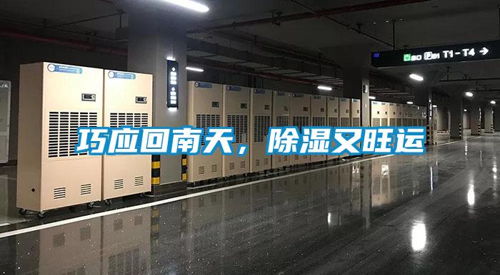 巧应回南天，除湿又旺运