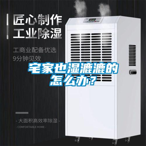 宅家也湿漉漉的怎么办？