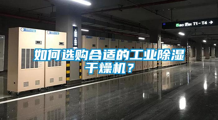如何选购合适的工业除湿干燥机？