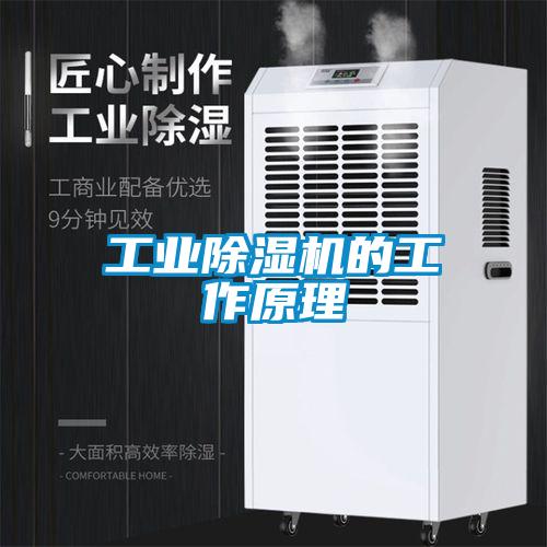 工业除湿机的工作原理