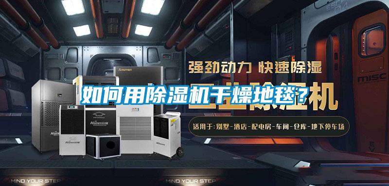 如何用除湿机干燥地毯？