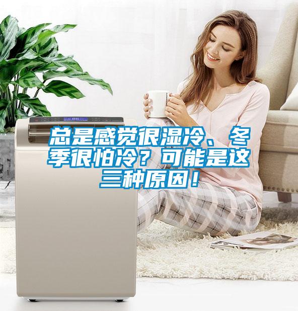总是感觉很湿冷、冬季很怕冷？可能是这三种原因！