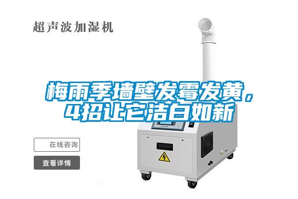 梅雨季墙壁发霉发黄，4招让它洁白如新