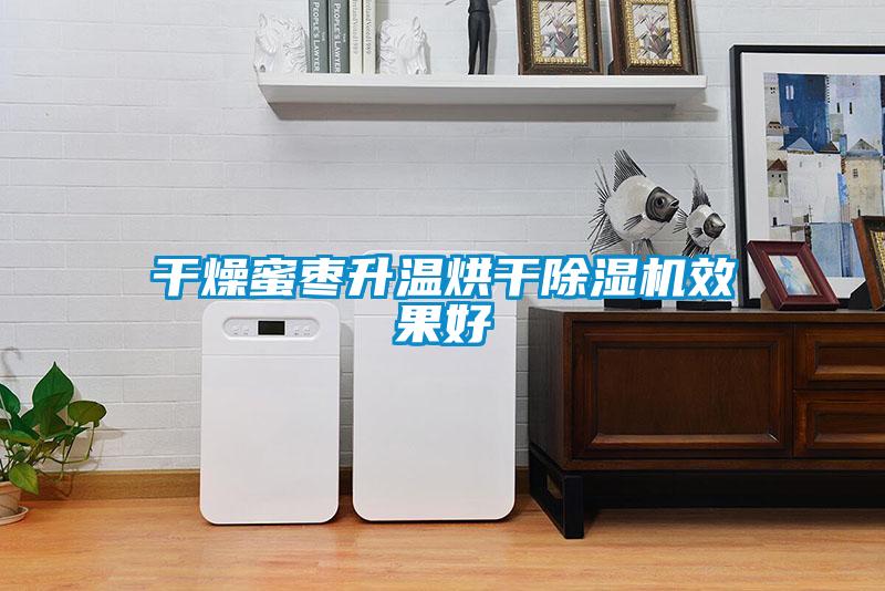 干燥蜜枣升温烘干除湿机效果好