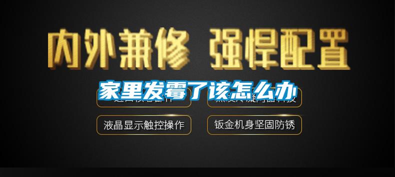 家里发霉了该怎么办