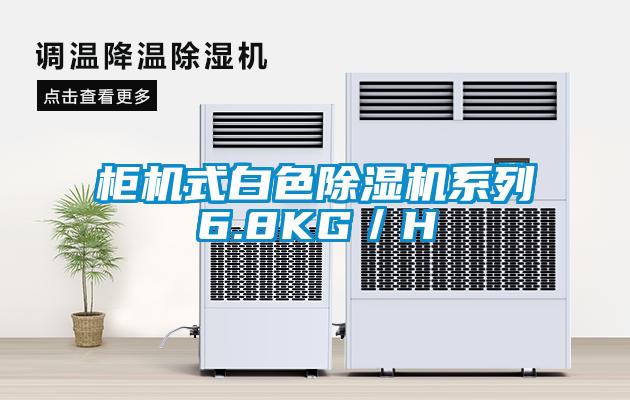 柜机式白色除湿机系列6.8KG／H