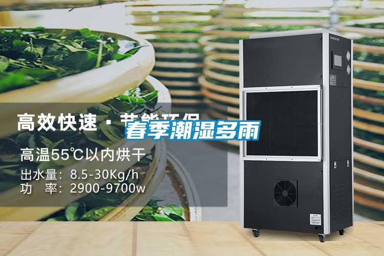 春季潮湿多雨