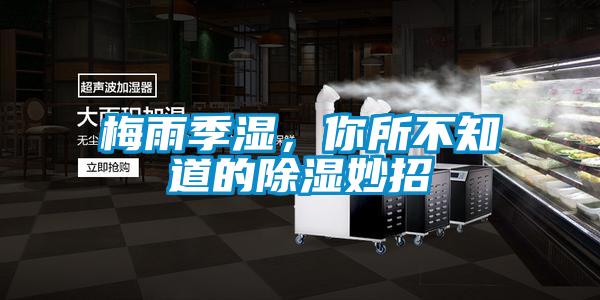 梅雨季湿，你所不知道的除湿妙招