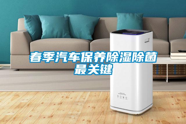 春季汽车保养除湿除菌最关键