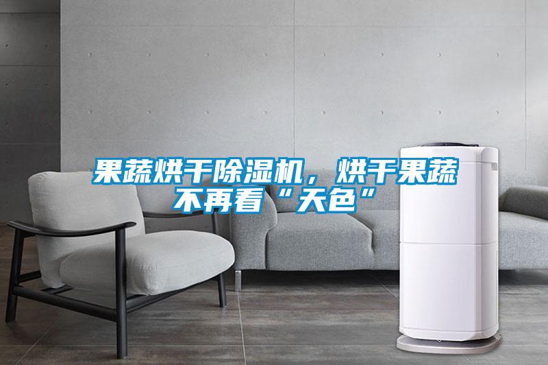 果蔬烘干除湿机，烘干果蔬不再看“天色”