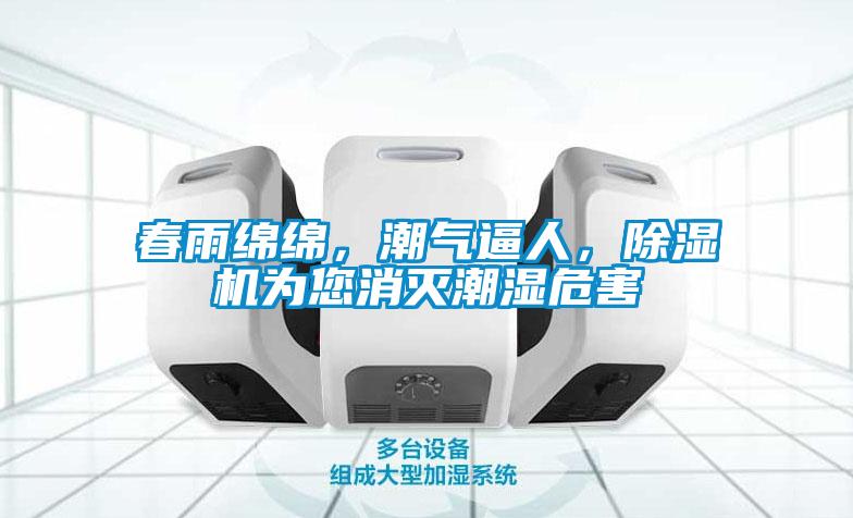 春雨绵绵,潮气逼人,除湿机为您消灭潮湿危害
