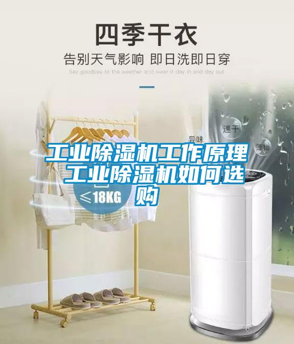工业除湿机工作原理 工业除湿机如何选购
