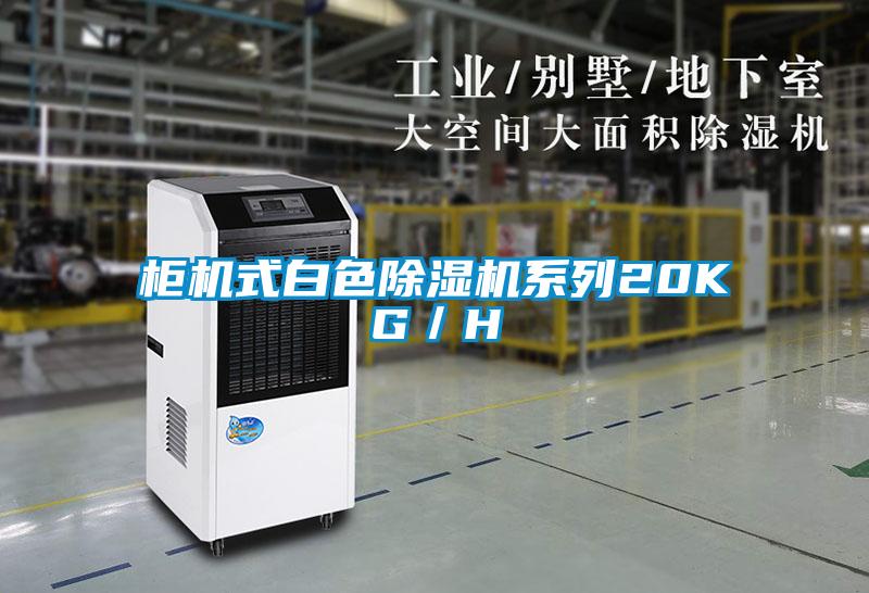 柜机式白色除湿机系列20KG／H
