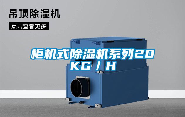 柜机式除湿机系列20KG／H