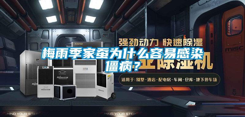 梅雨季家蚕为什么容易感染僵病？