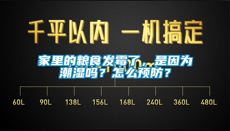 家里的粮食发霉了，是因为潮湿吗？怎么预防？
